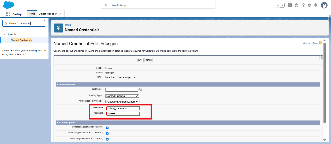 Edit Named Credential (Named Principal + Password Authentication)